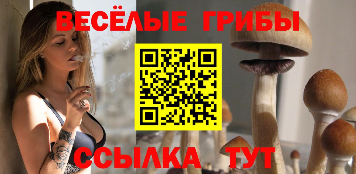 Галлюциногенные грибы MAGIC MUSHROOMS Гатчина